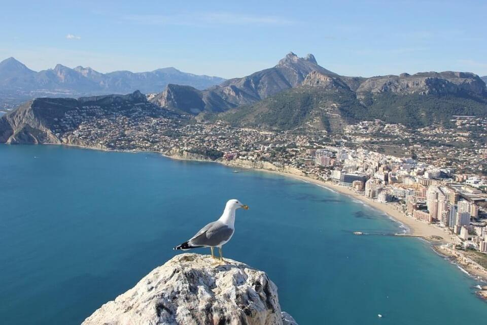 Apartamento Arenal 5 - Plusholidays Calpe Kültér fotó